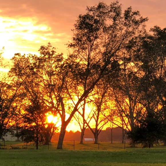 Meet your Posher, Farrar - Picture 2 of 3